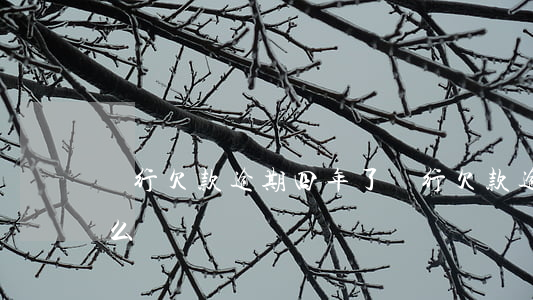 銀行欠款逾期四年了 銀行欠款逾期四年了怎么辦