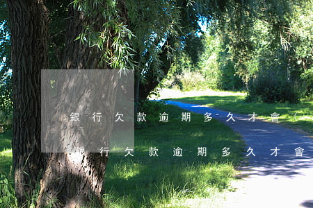 銀行欠款逾期多久才會(huì)提起起訴(銀行欠款逾期多久才會(huì)提起起訴會(huì)對(duì)家庭孩子)