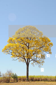 銀行欠款逾期多久法院傳票(起訴欠款幾天下傳票)