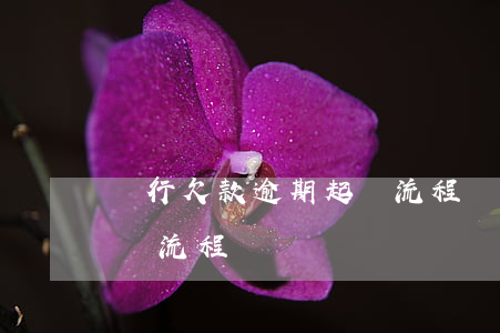 銀行欠款逾期起訴流程（銀行起訴逾期身故客戶流程）