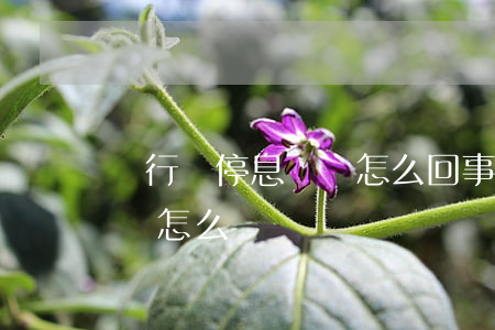 銀行沒停息掛賬怎么回事(銀行說沒有停息掛賬怎么辦)