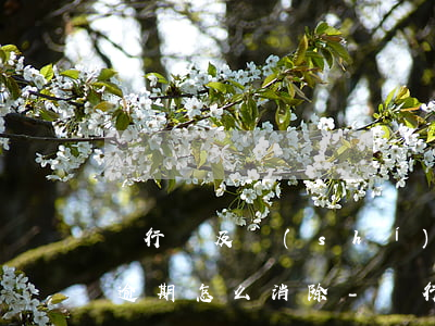 銀行沒及時(shí)扣款導(dǎo)致逾期怎么消除-銀行沒及時(shí)扣款導(dǎo)致逾期怎么消除記錄