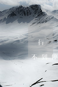 銀行沒有停息掛賬業(yè)務（為什么申請不到停息掛賬）