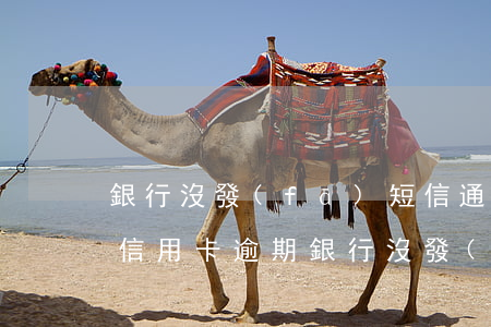 銀行沒發(fā)短信通知導(dǎo)致信用卡逾期 銀行沒發(fā)短信通知導(dǎo)致信用卡逾期
