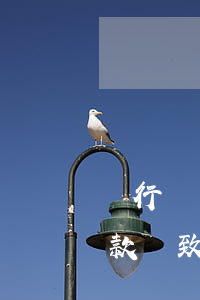 銀行沒發(fā)還款短信（銀行沒有通知還款導致逾期）