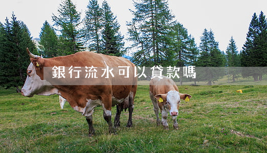 銀行流水可以貸款嗎