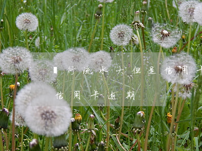 銀行流水大但是信用卡逾期(銀行流水大但是信用卡逾期)