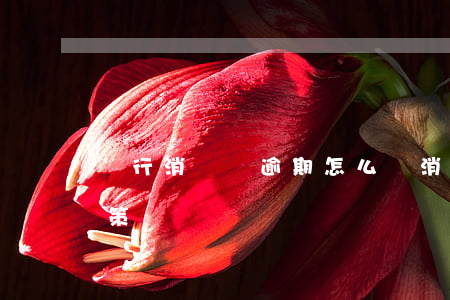 銀行消費貸逾期怎么辦(消費貸逾期原因及對策)