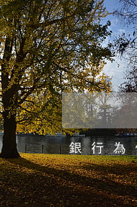 銀行為什么不停息掛賬(為什么要做停息掛賬)