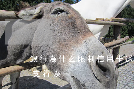 銀行為什么限制信用卡透支(什么是信用卡透支行為)
