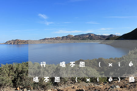 銀行為啥不愿協(xié)商還款-銀行為啥不愿協(xié)商還款了