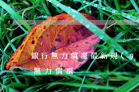 銀行無力償還最新規(guī)定(銀行欠款無力償還)