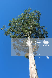 銀行無力償還會怎么樣(銀行對無力償還的債務(wù)怎么處理)