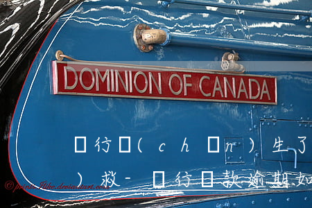 銀行產(chǎn)生了逾期怎么補(bǔ)救-銀行貸款逾期如何補(bǔ)救