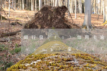銀行發(fā)信用卡逾期短信后還款（農(nóng)業(yè)銀行信用卡逾期短信內(nèi)容）