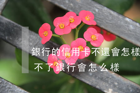銀行的信用卡不還會怎樣(信用卡的錢一直還不了銀行會怎么樣)