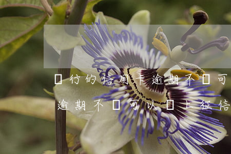 銀行的信用卡逾期不動可以嗎(銀行的信用卡逾期不動可以嗎上征信嗎)