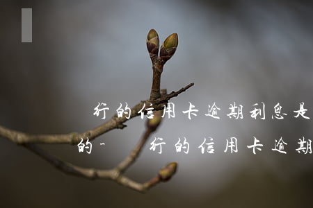 銀行的信用卡逾期利息是怎么計(jì)算的-銀行的信用卡逾期利息是怎么計(jì)算的呢
