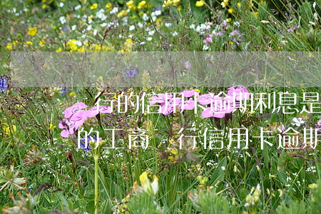 銀行的信用卡逾期利息是怎么計(jì)算的（工商銀行信用卡逾期一天計(jì)算器）