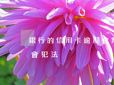 銀行的信用卡逾期會判刑嗎（信用卡逾期多久會犯法）