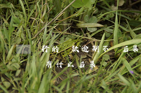 銀行的貸款逾期不還后果(銀行貸款逾期沒還會有什么后果)