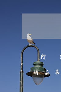 銀行監(jiān)管期內(nèi)不還的后果-銀行監(jiān)管期內(nèi)逾期