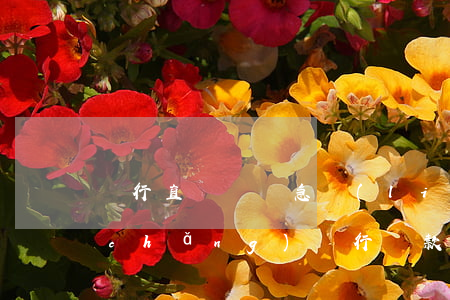 銀行直貸讓緊急聯(lián)系人到場(chǎng)(銀行貸款 緊急聯(lián)系人)