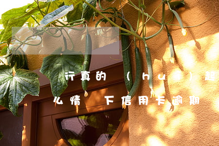 銀行真的會(huì)起訴信用卡逾期嗎(什么情況下信用卡逾期會(huì)被起訴)