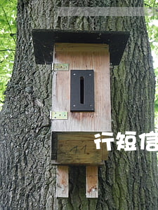 銀行短信通知生成器(銀行卡到賬短信生成器)