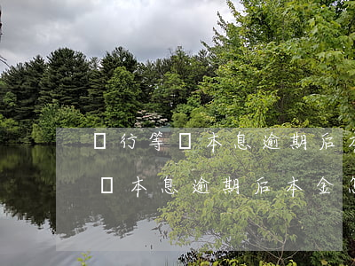 銀行等額本息逾期后本金怎么償還-銀行等額本息逾期后本金怎么償還的