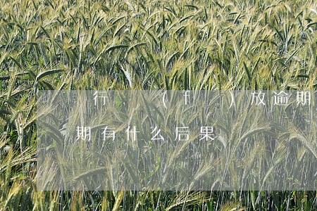 銀行給發(fā)放逾期貸款嗎(銀行貸款逾期有什么后果)