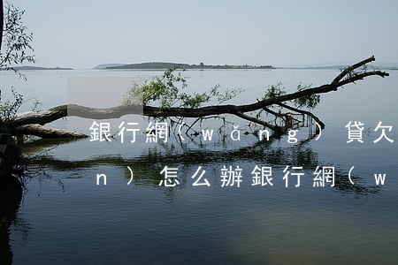 銀行網(wǎng)貸欠了20多萬(wàn)怎么辦(銀行網(wǎng)貸欠款幾十萬(wàn)該怎么辦)
