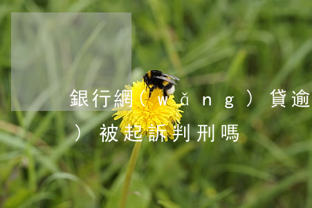 銀行網(wǎng)貸逾期多久會(huì)被起訴判刑嗎