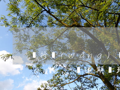 銀行網(wǎng)貸逾期解決方案(網(wǎng)貸逾期處理方法)