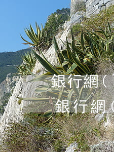 銀行網(wǎng)貸逾期起訴有什么成本(銀行網(wǎng)貸逾期多久會(huì)被起訴)