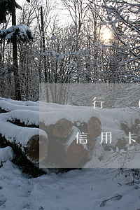 銀行網(wǎng)點(diǎn)能查到信用卡逾期信息嗎-銀行網(wǎng)點(diǎn)能查到信用卡逾期信息嗎安全嗎