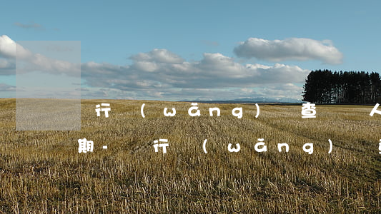 銀行網(wǎng)點查詢個人信用報告逾期-銀行網(wǎng)點查詢個人信用報告逾期怎么辦