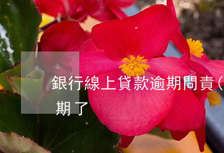 銀行線上貸款逾期問責(zé)(銀行貸款逾期了)
