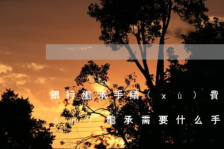 銀行繼承手續(xù)費怎么算(房產(chǎn)繼承需要什么手續(xù)費用)