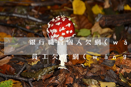 銀行職員個人欠網(wǎng)貸會被開除(員工欠了網(wǎng)貸可以開除嗎)
