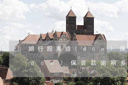 銀行股東擔(dān)保貸款逾期(銀行擔(dān)保貸款逾期多久會(huì)被起訴)