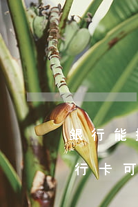 銀行能撤銷信用卡逾期記錄(有逾期記錄的銀行卡可以注銷嗎)