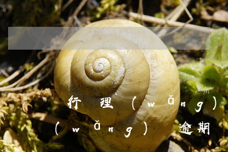 銀行處理網(wǎng)貸逾期（銀行處理網(wǎng)貸逾期）