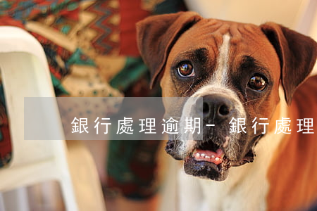 銀行處理逾期-銀行處理逾期抵押品的方式