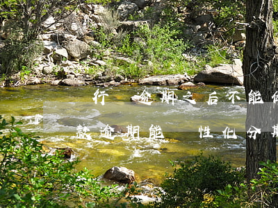 銀行說逾期之后不能做個性化分期-銀行貸款逾期能個性化分期嗎