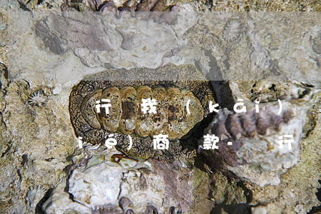 銀行讓我開(kāi)貧困證明可以協(xié)商還款-銀行讓我開(kāi)貧困證明可以協(xié)商還款嗎