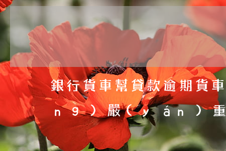 銀行貨車幫貸款逾期(貨車幫欠款已經(jīng)嚴(yán)重逾期)