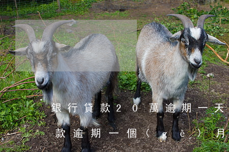 銀行貸款20萬逾期一天利息多少(20萬貸款逾期一個(gè)月多少罰息)