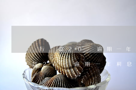 銀行貸款20萬逾期一年利息多少-銀行貸款20萬逾期一年利息多少錢