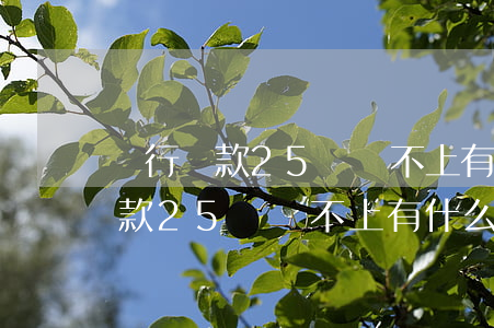銀行貸款25萬還不上有什么后果-銀行貸款25萬還不上有什么后果嗎